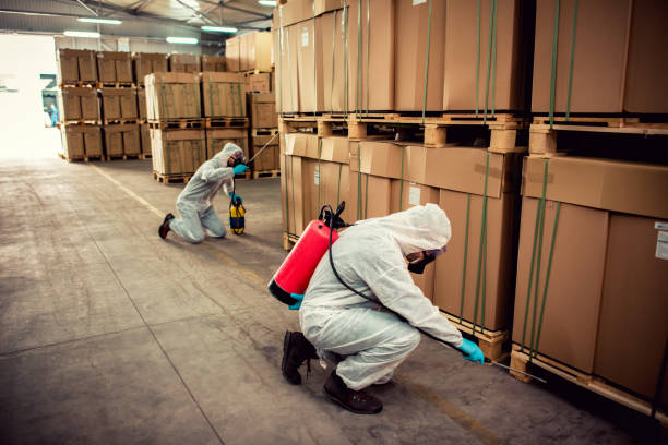 Best Cockroach Control Services  in Horicon, WI