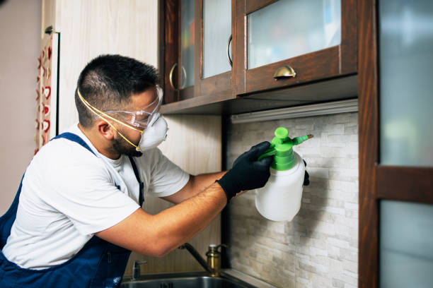 Best Local Pest Control Services  in Horicon, WI