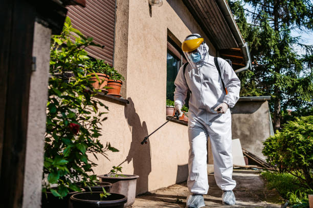 Best Best Pest Control Companies  in Horicon, WI