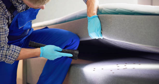 Best Affordable Pest Control Services  in Horicon, WI