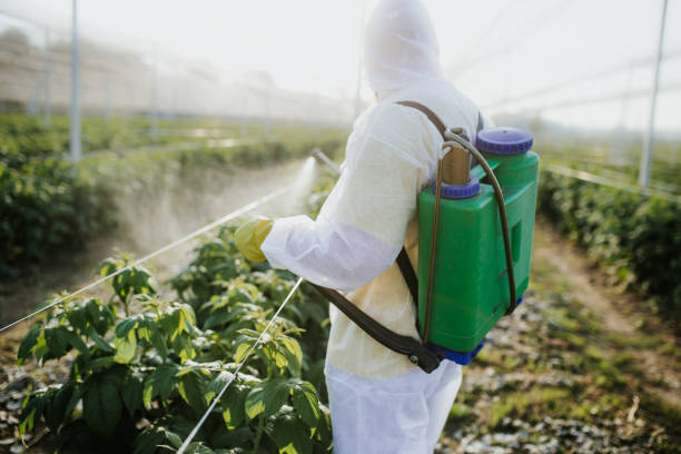 Best Termite Control Services  in Horicon, WI